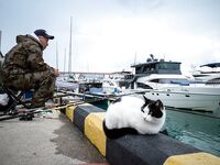 Головинка: штормы и сильная волна — по нулям, кефаль была на поплавок