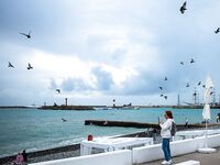 Головинка: штормы и сильная волна — по нулям, кефаль была на поплавок