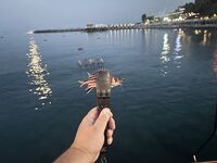 Турецкая республика: ультралайт до 2,5 г и буллеры — кайф, но ЧМ богаче