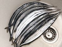 После штормов: ранний выход на саргана, опарыш крупнит размер