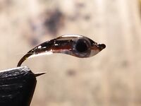 Дождь не помеха: поклёвки с первого заброса, мясо и нереис 50/50, к полудню волна и спад