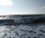 Вылазка за сарганом: нереис в приоритете, говядинка тоже шла; к 9:30 усилились ветер и волна