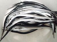 Вылазка за сарганом: нереис в приоритете, говядинка тоже шла; к 9:30 усилились ветер и волна