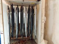 Рабочий день отгулян: утренние невнятные поклёвки на нереис, потом стабильность у берега