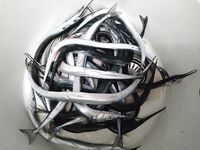 Дневная жара и точность заброса: сарган то капризничал, то бил жёстко; мясо и нереис