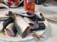 Имеретинка напротив, затем Моя Звезда: два часа уговоров и жарящая сковородка