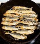 Четыре часа в мае: пластиковые блесны с маракуйей и ночные бомбарды по ставриде