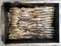 Короткая ремарка по кухне: подготовка улова к жарке без лишних подробностей