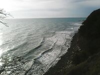 Ловля на Чёрном море — когда выходить после дождя?