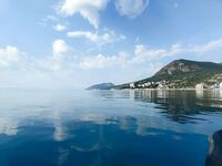 Микро-горбылики повсюду: всех отпустил — морская рыбалка бережно к «детсаду»