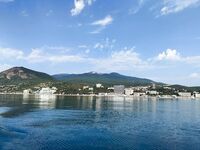 Микро-горбылики повсюду: всех отпустил — морская рыбалка бережно к «детсаду»