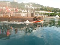 Микро-горбылики повсюду: всех отпустил — морская рыбалка бережно к «детсаду»