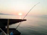 Совет подводника: кефаль по каменно-глыбовому дну — но как её ловить с берега?