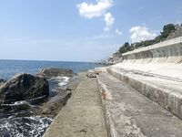 ЮБК, Понизовка: первый опыт и морская рыбалка на червячка с оливкой по кукушке