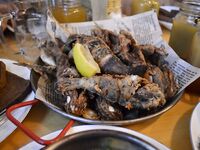 Севастополь и поблизости: штормило, самодур по ставриде слабый, джиг — скорпена