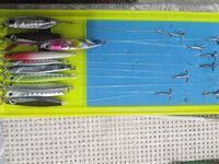 Сочи — готовим снасти: проверим, как поживают луфарь и сарган