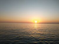 Сарган капризничал — курица, нереис, красный червь, пилькеры молчат