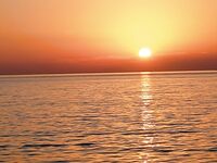 Сарган капризничал — курица, нереис, красный червь, пилькеры молчат