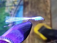 После штормов и дождей — пауза перед морской рыбалкой на саргана