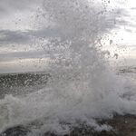 Морская рыбалка в Ялте: шторм, упрямая бомбарда и сарган на волне