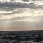 Морская рыбалка в Ялте: шторм, упрямая бомбарда и сарган на волне