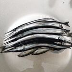 Морская рыбалка в Ялте: шторм, упрямая бомбарда и сарган на волне