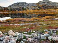 Морская рыбалка в Териберке — быстрый выезд по погоде и льду?