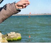 Пеленгас на пенопласт: крючок должен торчать из красного поплавка приманки