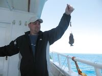 Египетская вылазка: красивая яхта, но снасти «совок» и мелко — трофей не случился