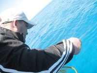 Египетская вылазка: красивая яхта, но снасти «совок» и мелко — трофей не случился