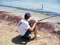 Перла и открытый пляж: «Тато» в прошлом, теперь можно ловить свободно у резиденции