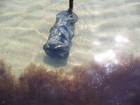 Перла и открытый пляж: «Тато» в прошлом, теперь можно ловить свободно у резиденции