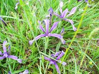 Перла и открытый пляж: «Тато» в прошлом, теперь можно ловить свободно у резиденции