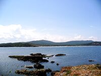 Перла и открытый пляж: «Тато» в прошлом, теперь можно ловить свободно у резиденции