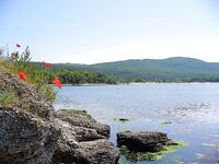 Перла и открытый пляж: «Тато» в прошлом, теперь можно ловить свободно у резиденции