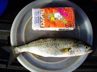 Закон и контроль: штрафы за сети до 5000 лев, спутниковый мониторинг Рибинспекции