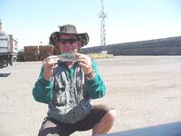 Мыс Коракя: меджит и морские драконы на самодур, в Бургасе лефер на 20 г блесну