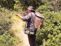 Фотки загружены в тему: визуальные заметки без дополнительного текста по улову