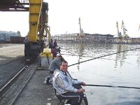 Самодур по хамсе «чатал куйрук»: утром на «деревенском порту» короткая раздача