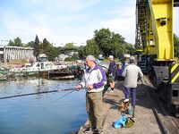 Самодур по хамсе «чатал куйрук»: утром на «деревенском порту» короткая раздача