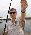 Испания с пирса: дорада на кусочки сардины — зубастая и любимая у местных