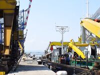 Рассветная рыбалка и вечерний футбол: судак в море как «мутация» — забавная заметка