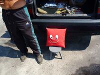 Рассветная рыбалка и вечерний футбол: судак в море как «мутация» — забавная заметка