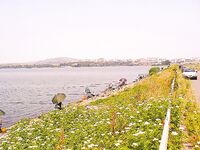 Открытие пресноводного сезона на Мандре: судак, карп и приз от «Морских волков»