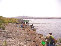 Открытие пресноводного сезона на Мандре: судак, карп и приз от «Морских волков»