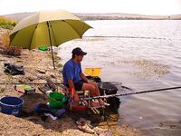 Открытие пресноводного сезона на Мандре: судак, карп и приз от «Морских волков»