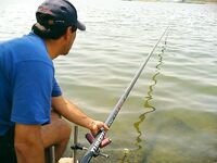 Открытие пресноводного сезона на Мандре: судак, карп и приз от «Морских волков»