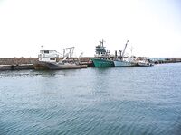 Несебр, калкан не нашёлся: карагьоз в Порту Бургас по 160 штук и трофеи до 39 см