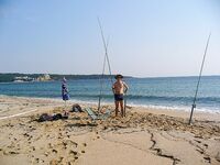 Жаркое море и слабая рыбалка у Дюни-Алепу: 15 платерин с сыном и муха на Тундже