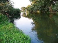 Жаркое море и слабая рыбалка у Дюни-Алепу: 15 платерин с сыном и муха на Тундже